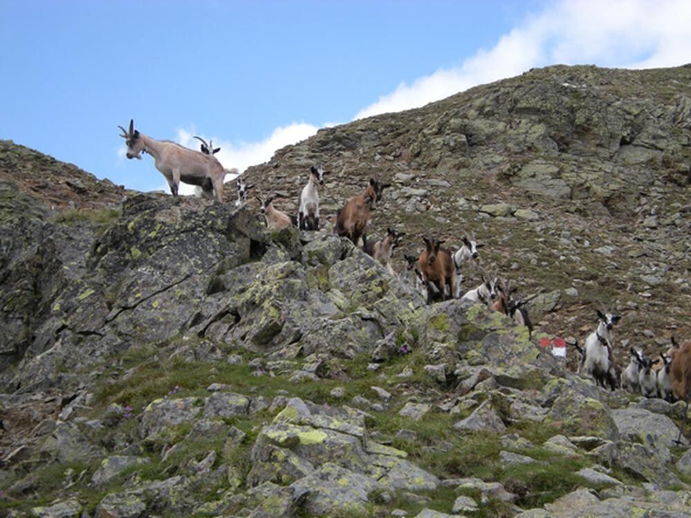 GEA Wanderreise Sarntal 2010