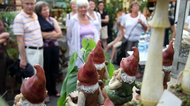 Zwergen-Literaturspaziergang in Bad Urach