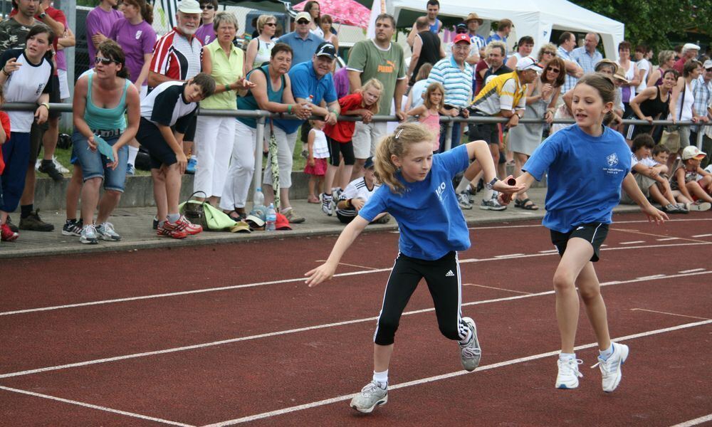 Lichtensteinlauf 2010