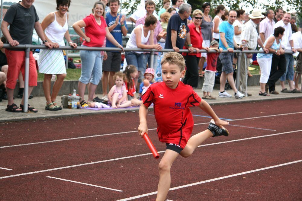 Lichtensteinlauf 2010