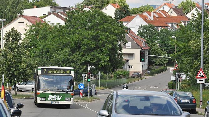 Mehr Bus, weniger Auto - das wünschen sich Bewohner des »Efeu«. FOTO: TRINKHAUS