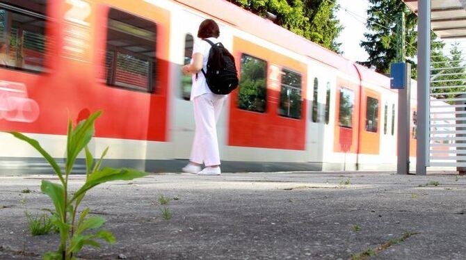 Eine S-Bahn  fährt am an der Stelle am S-Bahnhof München-Solln vorbei, an der der Geschäftsmann Dominik Brunner zu Tode geprü