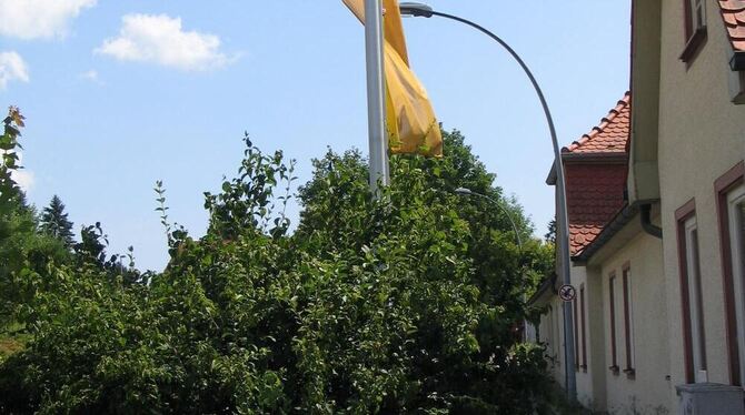 Weht jetzt bald ein anderer Wind? Die Stadtwerke werden GmbH. GEA-FOTO: OEL