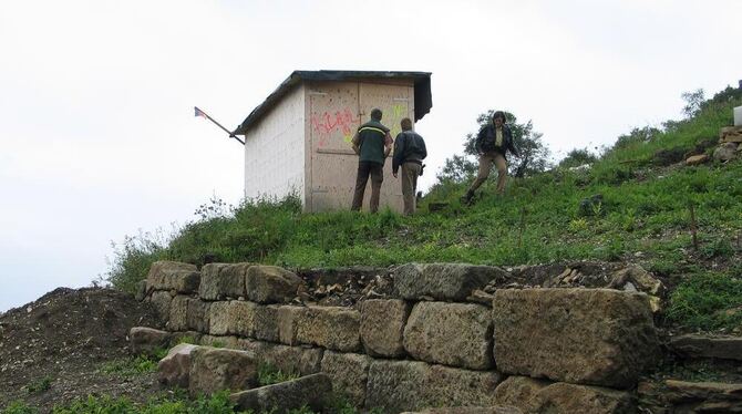 Zerstörte Trockenmauer: Unbekannte brachen mit einer Eisenstange große Steine aus. GEA-FOTO: SCHEIB