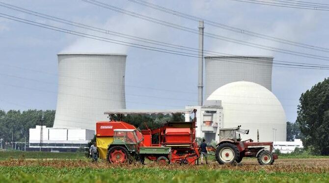 Das von dem Stromkonzern RWE betriebene Atomkraftwerk Biblis in Südhessen (Archivbild).