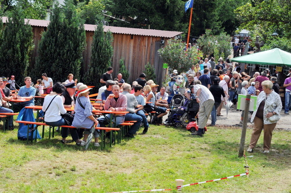 Traktoren-Treffen Ohmenhausen 2010