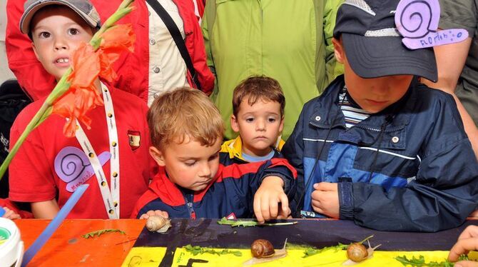 Sogar ein eigenes Ortsschild gibt's.Das Schneckenrennen in der Naturwerkstatt wurde genau beäugt (links). Beim Wett-Hammern ging