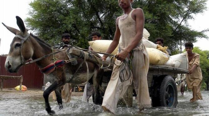 Flutopfer verlassen ihre Dörfer in der überfluteten Provinz Punjab. In Pakistan sind inzwischen 20 Millionen Menschen auf der