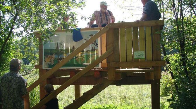 Steht jetzt allen Naturfreunden offen: der Aussichtspunkt im Seebachtal. FOTO: PR