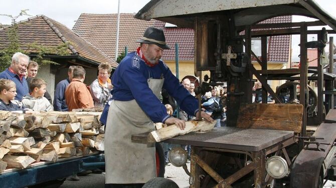 Bestaunenswert, das Holzsägen mit Maschinenkraft, die vor dem Zweiten Weltkrieg den Fortschritt bedeutete. FOTO: LEIPPERT