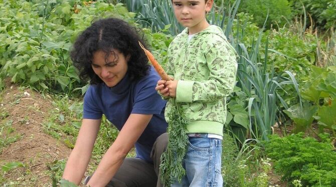 Bio-Bauer Kurt Schrade hat seinen Acker am Ortsrand von Kohlstetten zwanzig Familien für den Gemüseanbau zur Verfügung gestellt.