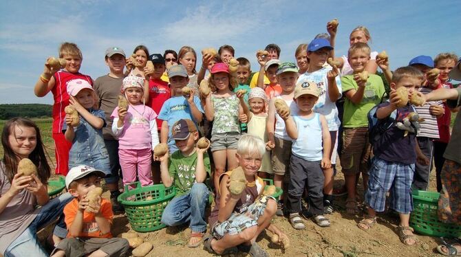 Die Kleinsten ernten die größten Kartoffeln. Die kuriosesten Funde des Erntewettbewerbs werden prämiert.  GEA-ARCHIV-FOTO: BRÄUN