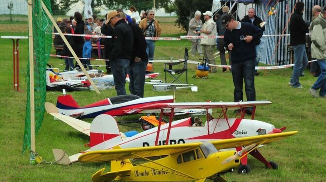 In der Warteschleife: Wegen Windböen mussten die Modellflieger in Kusterdingen meistens am Boden bleiben. GEA-FOTO: MEYER