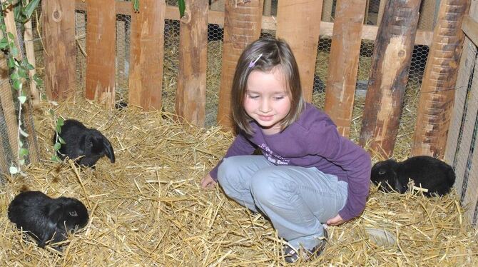 Wer hat Angst vorm schwarzen Hasen? Der Streichelzoo war beliebt. GEA-FOTO: MEYER