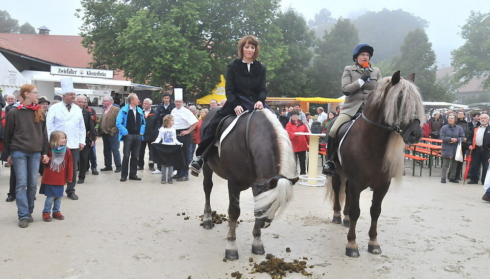 Kartoffelfest St.Johann 2010