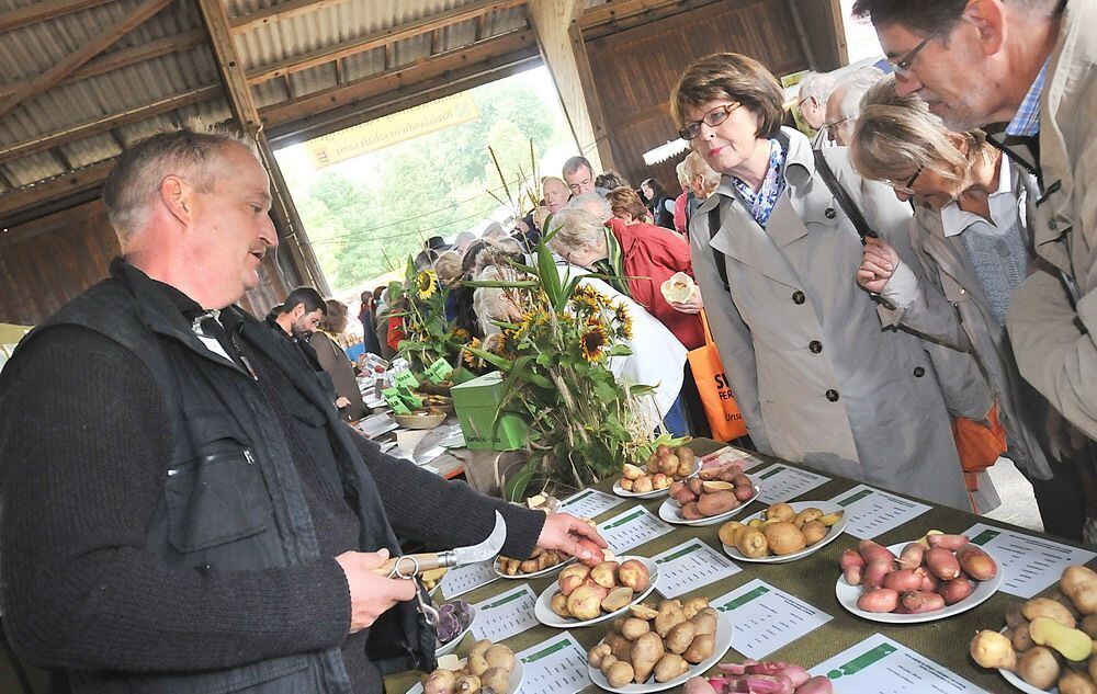 Kartoffelfest St.Johann 2010