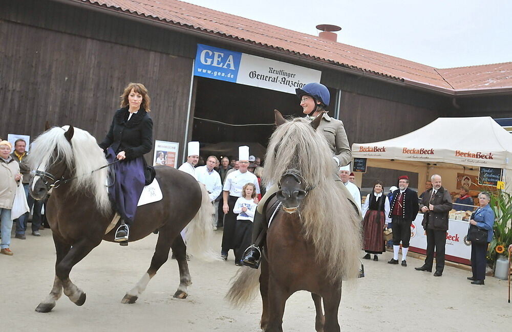 Kartoffelfest St.Johann 2010