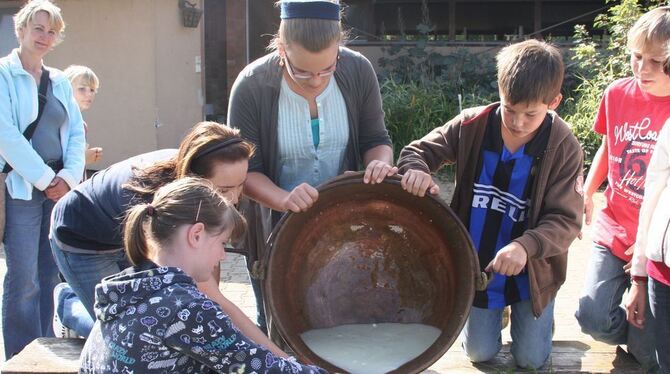 So also wird in Hohenstein aus der Milch der Albbüffel-Kühe Käse gemacht. FOTO: PR