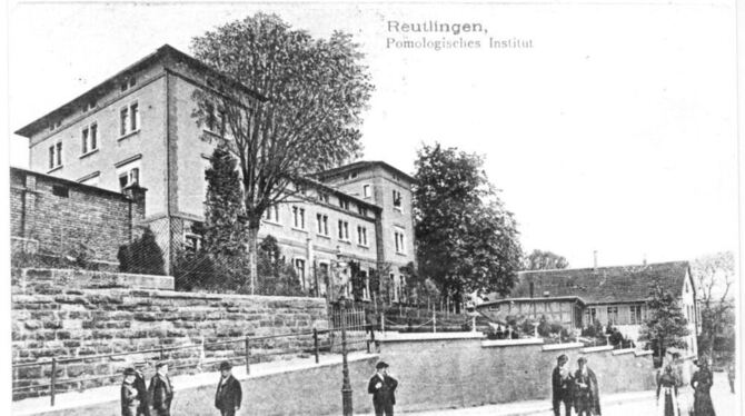 Der gute Ruf des Pomologischen Instituts lockte schnell auch Schüler aus dem Ausland nach Reutlingen.  GEA-FOTO: ARCHIV