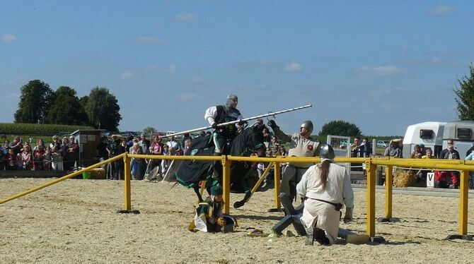 Ritterspiele: Das faszinierte die Besucher des Fests auf dem Pferdehof Müllerschön. FOTO: LENZ