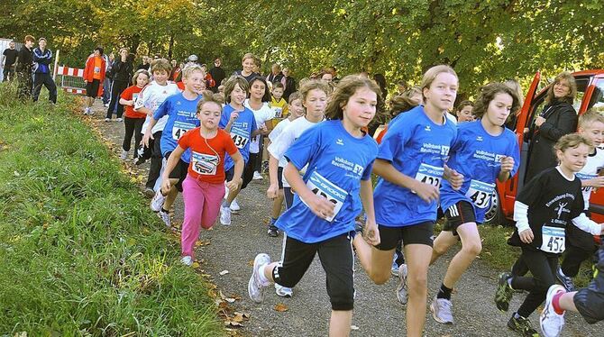 Gut besetzt: die Schülerklasse beim Volkslauf in Bronnweiler. FOTO: PR