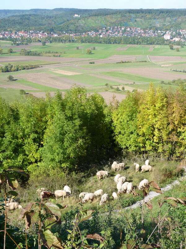 Ludwig Uhland Wanderweg