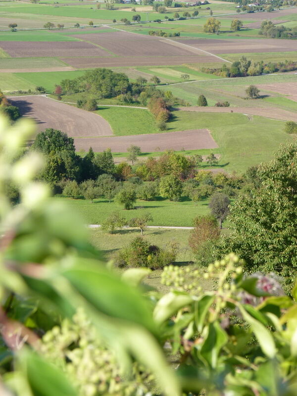 Ludwig Uhland Wanderweg