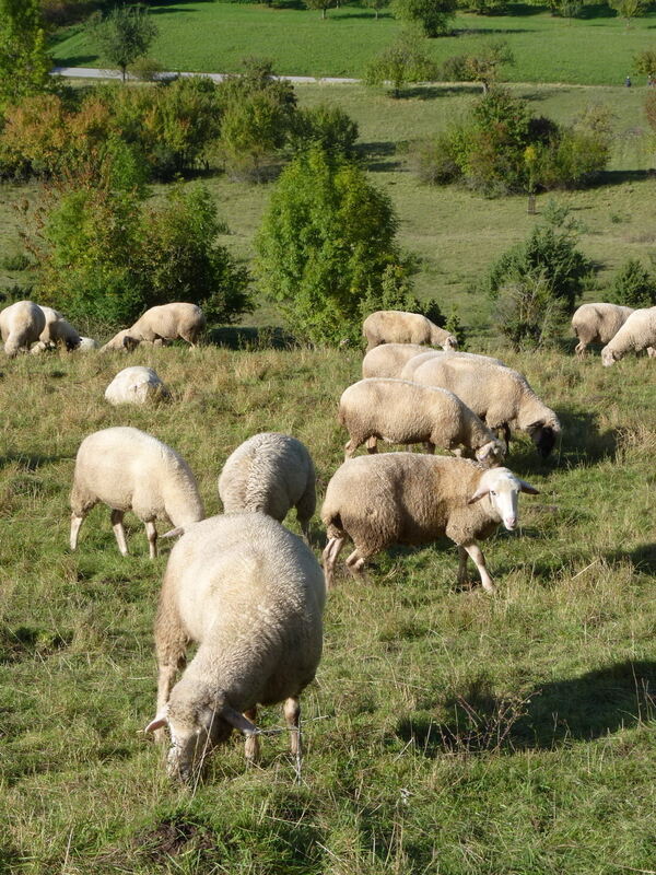 Ludwig Uhland Wanderweg