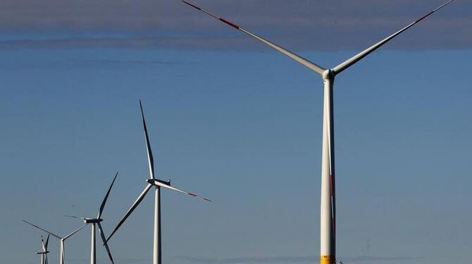 Auf der Ostsee vor der Halbinsel Darß stehen Windräder des Offshore-Windparks »EnBW Baltic 1«.