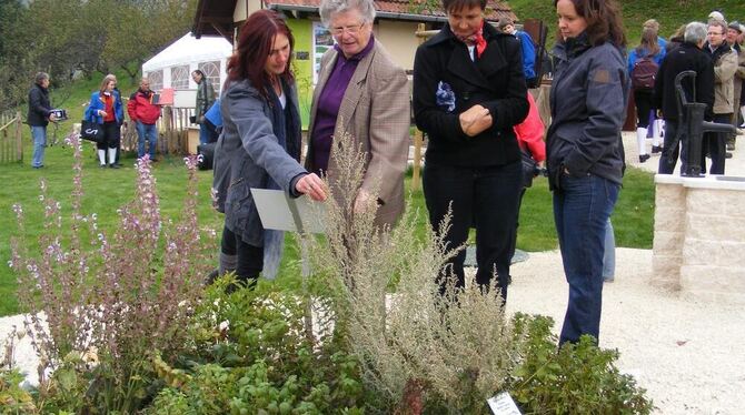 Die städtische Obstanlage verfügt jetzt über einen Schau- und Lehrgarten. FOTO: TBÖ