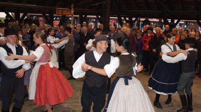 In Stimmung gedreht: Die Volkstanzgruppe aus Metzingens Partnerstadt Nagykallo eröffnet das Kelternfest.  FOTO: SANDER