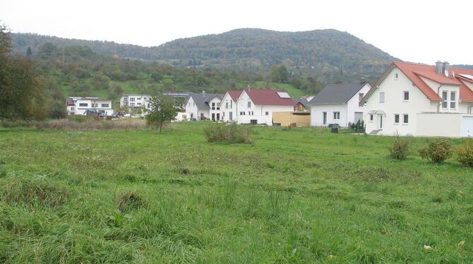 Noch Wiese, bald Bauland: Dettingen erweitert das Neubaugebiet Oberer Boden und baut in diesem Zusammenhang eine Unterführung un