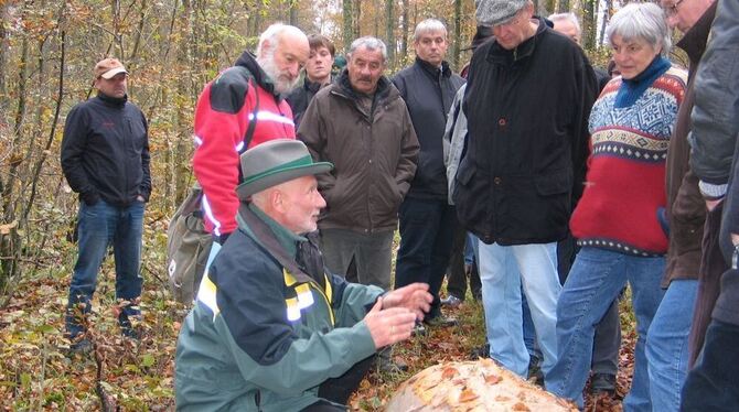 Forstamtsleiter Alfred Krebs erläutert dem Gemeinderat am Stammbeispiel, dass edles Holz aus dem Gomadinger Gemeindewald gefragt