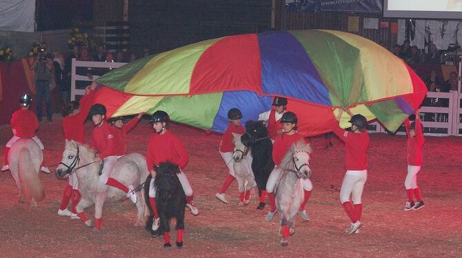 Märchenhafte Ponyquadrille des Biberacher Schützenvereins. GEA-FOTO: PFI