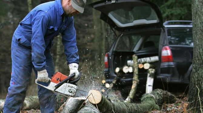 Immer mehr heizen mit dem nachwachsenden Rohstoff Holz und gehen dafür in den Wald: In Dettingen wurde jetzt kritisiert, dass zu