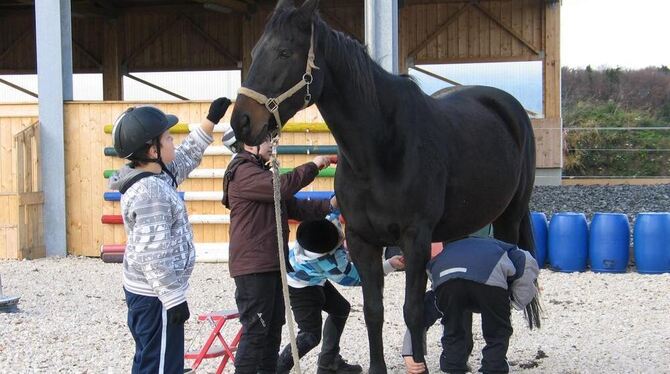 Wellness für die elfjährige Laila, die das Betütteltwerden sichtlich genießt. Phillipp, Dennis, Justin und Marvin putzen die Stu