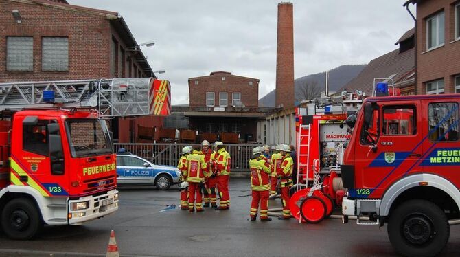 Die Metzinger Feuerwehr war mit 24 Mann und fünf Fahrzeugen im Einsatz. FOTO: PFI