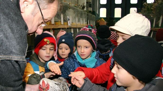 Die könnte ja picken: Erst mal recht vorsichtig legten die Kindergartenkindern Hand ans Federvieh. FOTO: LEIPPERT