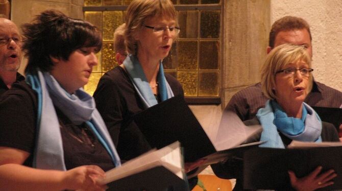 Schubert als Glanzpunkt im gemeinsamen Konzertprogramm von Liederkranz und Musikverein in der Nehrener Kirche.  FOTO: GEUPEL