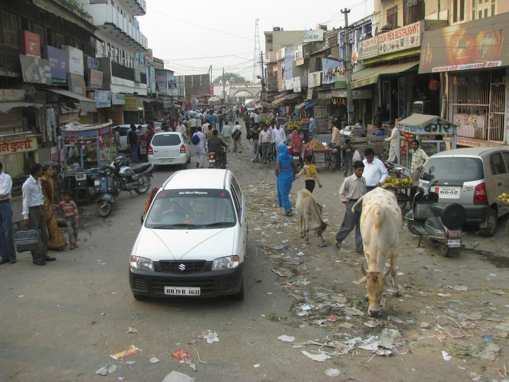 GEA Leserreise Indien 2010