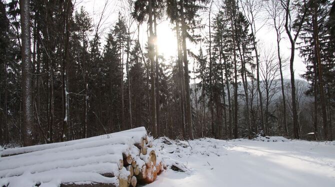 Der noch verschneite Wald am Albtrauf auf Mössinger Gemarkung: Erholungsraum und Holzlieferant.  GEA-FOTO: MERKLE