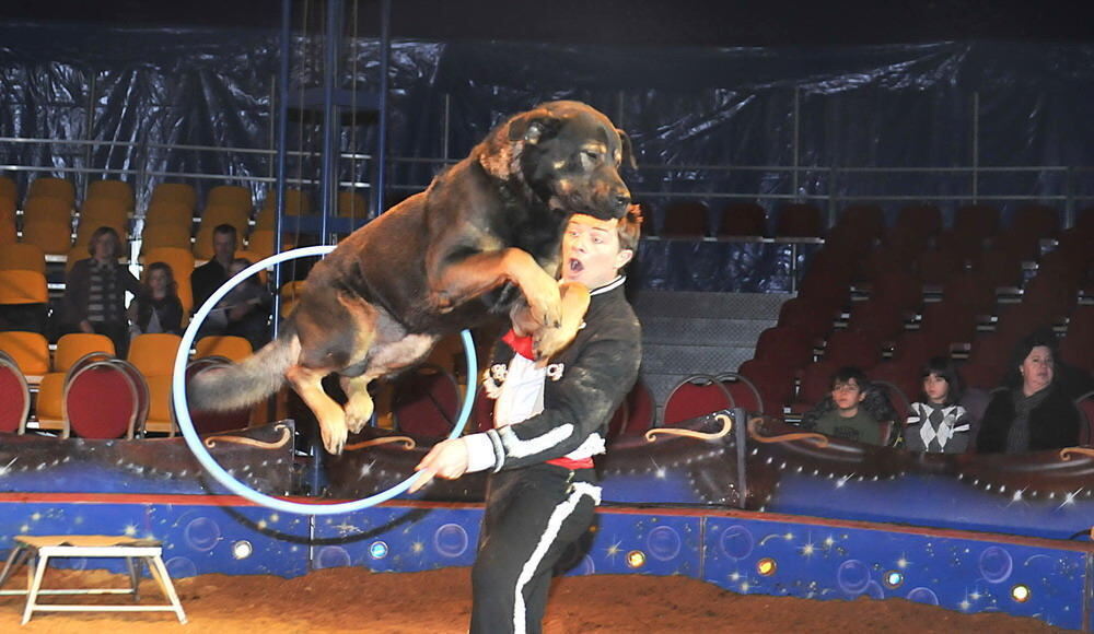 Weihnachtszirkus Reutlingen 2010