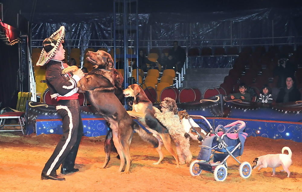 Weihnachtszirkus Reutlingen 2010