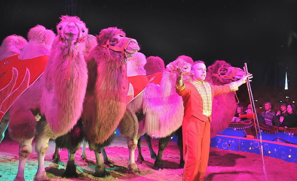 Weihnachtszirkus Reutlingen 2010