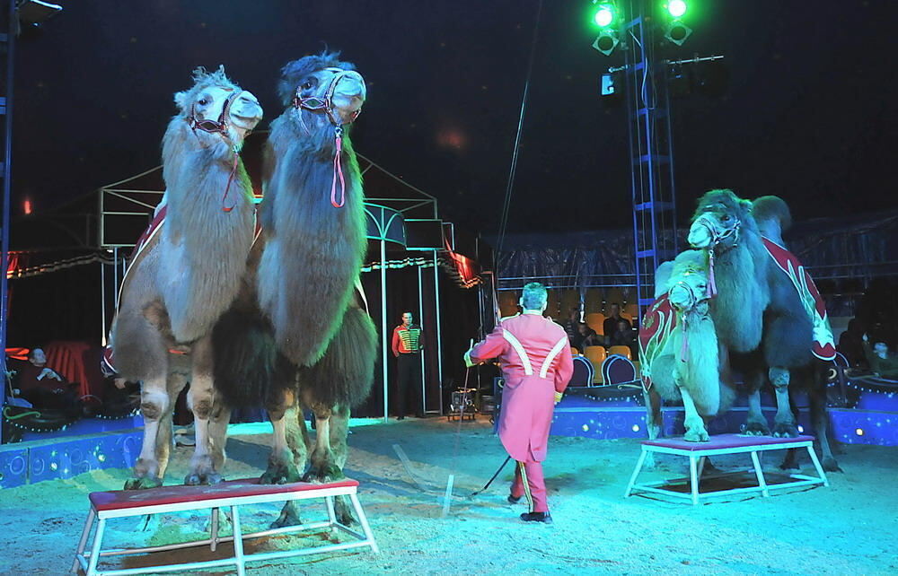 Weihnachtszirkus Reutlingen 2010