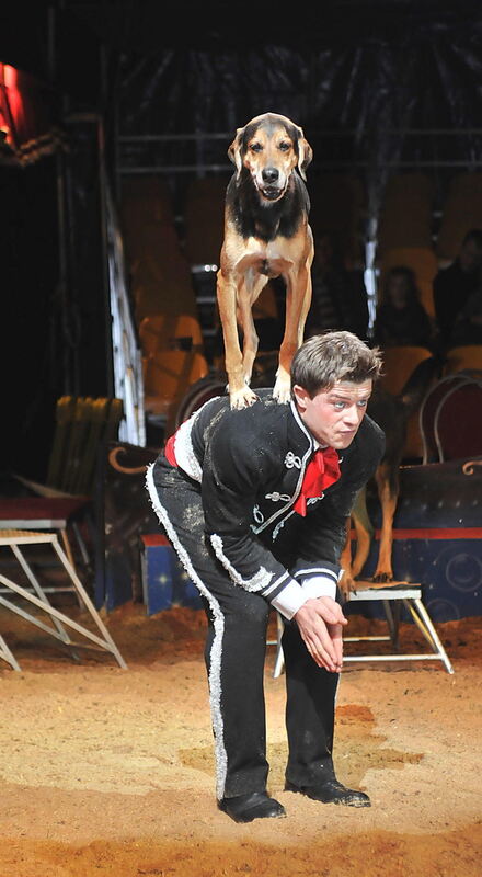 Weihnachtszirkus Reutlingen 2010