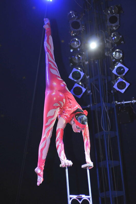 Weihnachtszirkus Reutlingen 2010