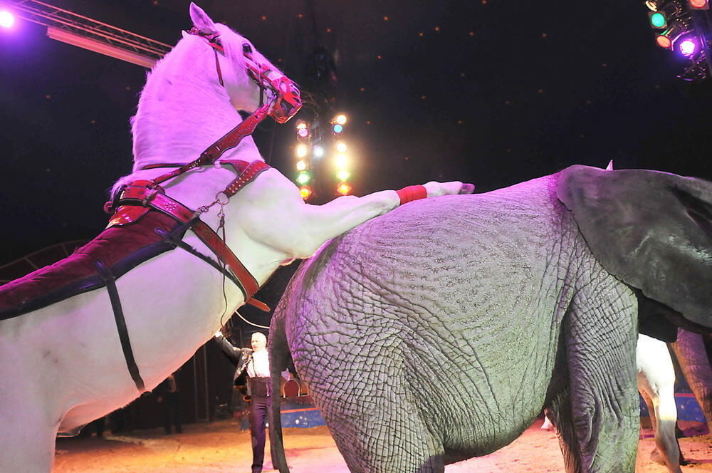 Weihnachtszirkus Reutlingen 2010