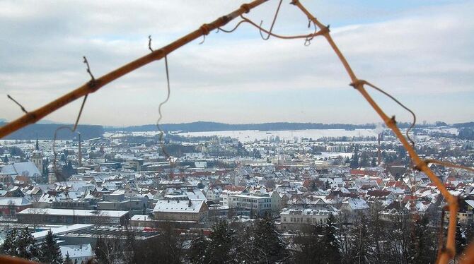 Metzingen im Fokus: Blick durch Weinreben auf die Stadt. FOTO: PFISTERER