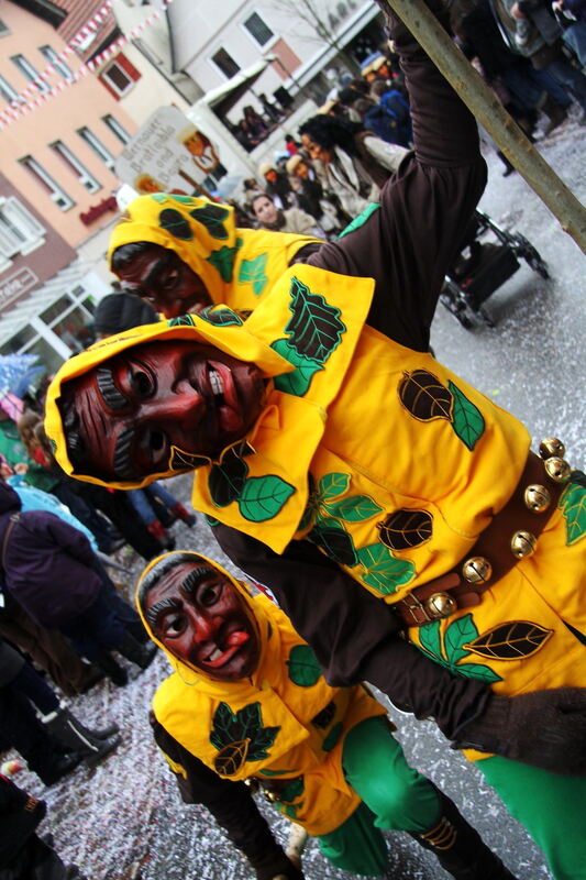 Narrensprung Münsingen Januar 2011